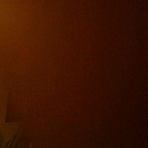 Meet your Posher, Lexi